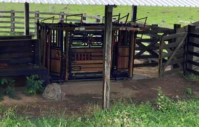 Imagem 7: FAZENDA PERTO DE CUIABA MT COM 174 HECTARES