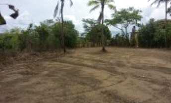 Imagem 2: área 2 hectares a menos de 8 minutos da praia de mangue seco