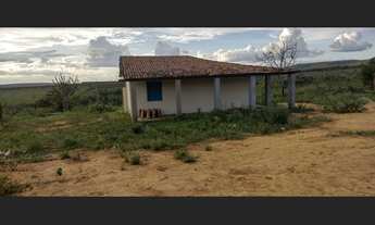 Imagem 7: Propriedade rural a venda