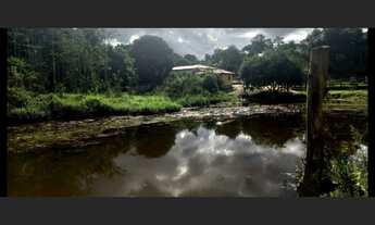 Imagem 5: Fazenda de 55 há em Cláudio MG