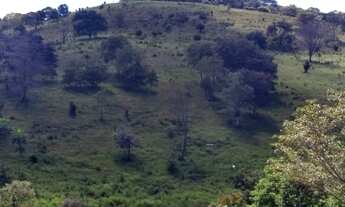 Imagem 1: Fazenda dd 24 ha em Itaguara