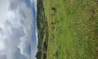 Imagem 7: Fazenda de 15 há em Desterro de Entre Rios MG