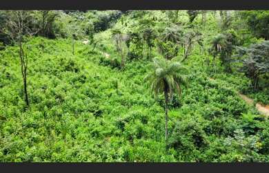 Imagem 5: Terreno de 16 há em Itaguara MG