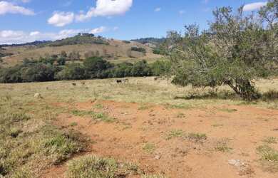 Imagem 5: Excelente Sítio - 4.9 Hectares