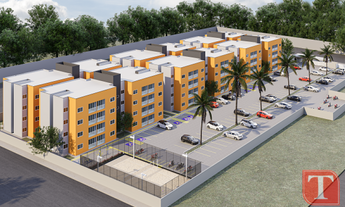 Imagem: Sunflower Bodocongó - Possibilidade de