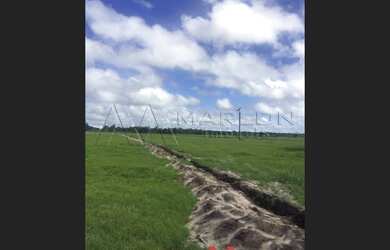 Imagem 2: Terreno em São Gonçalo, plana. 600000m²