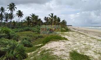 Imagem 3: Terreno plano, pé na areia com 20.000m² - Ilhéus / Bahia