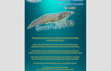 Imagem 5: Fazenda Camarão - Hiper-intensivo OverLap - Canavieiras BA