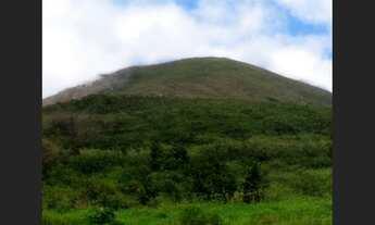 Imagem: Terreno Arborizado em Caldeirão Grande