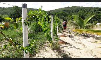 Imagem 3: Vendo essa chácara 2mil metros