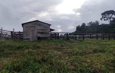 Imagem 9: R$ 5 milhões fazenda de 200 alqueires com 154 alqueires de pasto