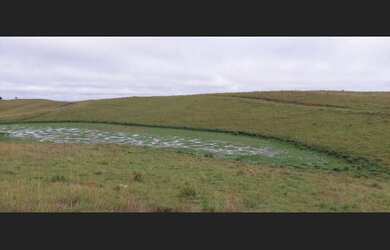 Imagem 7: Área De Terras Com 89 Hectares em Cambará Do Sul