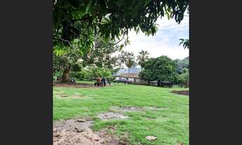 Imagem 5: Fazenda Fátima Tocantins