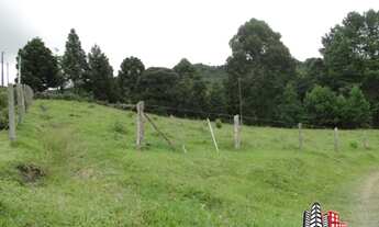 Imagem 3: Chácara/ Sítio em Campo Alegre Bairro São Miguel