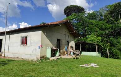 Imagem 7: VENDO TERRENO AGRICULA À 20 KM DE CASTANHAL (EM INHANGAPI) TEM MAIS DE 3 MIL TOUCEIRAS DE