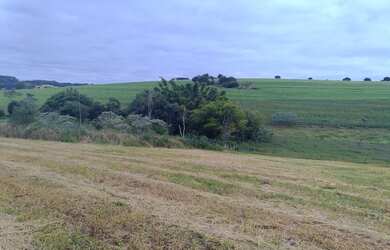 Imagem 3: Chácara 42.600m² a 200m da Venda dos Preto - Londrina
