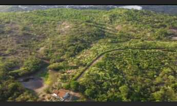 Imagem 4: Fazenda Frios Fazenda / sítio com venda por R$550.000