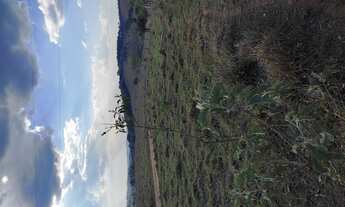 Imagem 5: Terreno de 69 há em oliveira MG