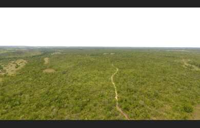 Imagem 4: 287 Alqs Bruta Dupla Aptidão Novo Acordo TO