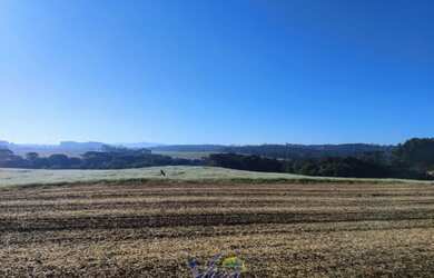 Imagem 2: Terreno rural em Campo Alegre para Venda