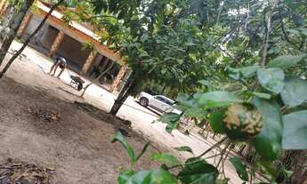 Imagem 6: Sítio localizado em Rosário-Ma