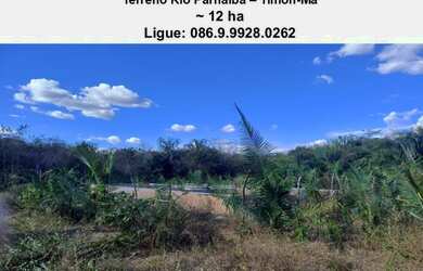 Imagem 3: Terreno de 16 ha as margens do Rio Parnaíba