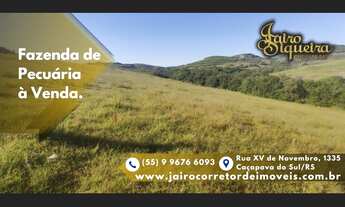 Imagem 2: Fazenda de Pecuária à venda, localizado em Caçapava do Sul/RS