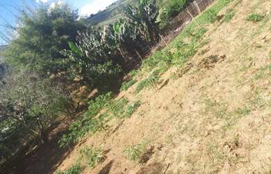 Imagem 3: Vendo lote de 400m2 em Dom Viçoso-MG