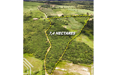 Imagem 5: OPORTUNIDADE ÚNICA: 46 HECTARES COMPLETOS COM RIO, AÇUDE E ÁGUA EM ABUNDÂNCIA NA SERRA