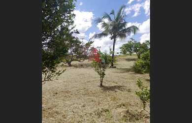 Imagem 7: Por R$ 360 mil excelente CHACARÁ c/2 casas, 4 tarefas na cidade de Salgado/SE