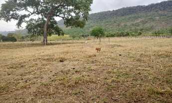 Imagem: SITIO 82 HECTARES TERRA BOA COM RIO EM CACERES
