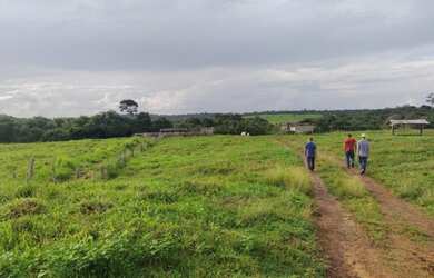 Imagem 6: R$ 5 milhões fazenda de 200 alqueires com 154 alqueires de pasto