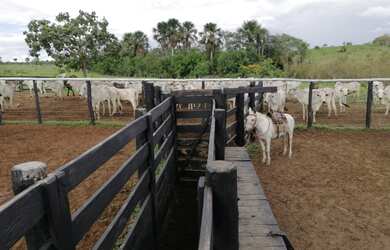 Imagem 2: 42 Alqs Ótima em Água Terra e Logistica Região Paranã TO