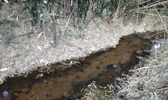 Imagem 5: Terreno de 10.8 há em Desterro de Entre Rios MG