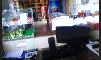 Imagem 2: Casa e comércio