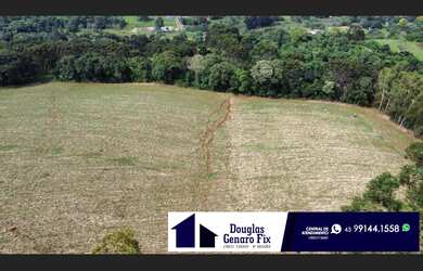 Imagem 6: Santa Maria do Oeste, Paraná, Brazil