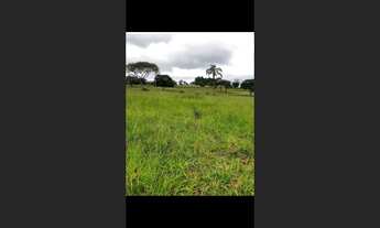 Imagem 3: Fazenda de 110 há em Itaguara MG