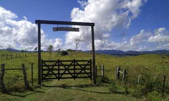 Imagem 2: Fazenda Itapé/BA