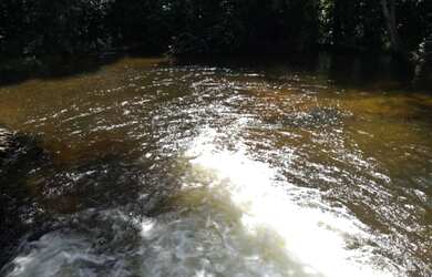 Imagem 5: Sítio com 50 hectares na estrada de igarapé açu por 400 mil reais documentada