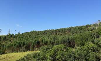 Imagem 5: Belíssimo sítio banhado pelo Rio Cachoeira em Joanópolis-SP