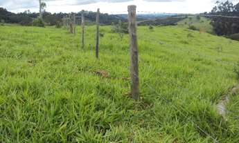 Imagem 6: Sítio 12,309 alqueires por R$ 1.100.000 - Zona Rural - Jacui/MG