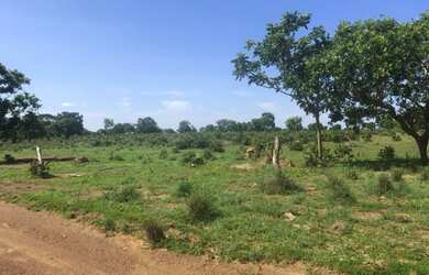 Imagem 3: 165 Alqs Arrendamento Disponivel Pra Soja Vale do Araguaia TO