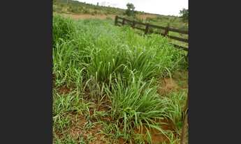 Imagem 4: 127 Alqs Planta Córregos Ótima Logística Região Palmas TO