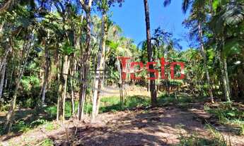 Imagem 6: Terreno para Chácara - Wunderwald