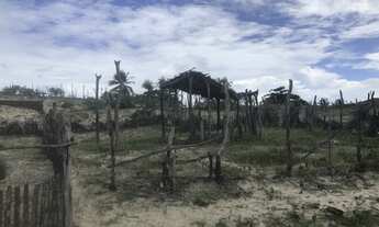 Imagem 5: Vendo lote em Tatajuba