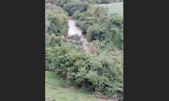 Imagem 6: São Paulo chacara 2 alqueires a 5 Kilometros da cidade de jardim alegre no Paraná