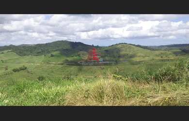Imagem 5: CÓD.: 1-567 – Fazenda c/ 410 tarefas com casa, R$ 15 mil reais à tarefa