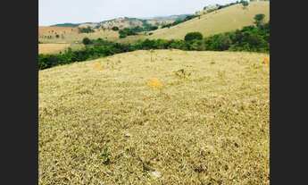 Imagem 3: Fazenda de 130 ha em Oliveira