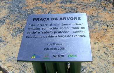 Imagem 2: Terreno ao lado da Arvore Penteada