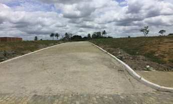 Imagem 4: Terreno Bosque das Palmeiras